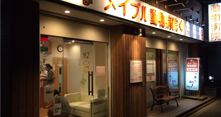 メイプル動物病院　併設　京都犬猫整形外科センター